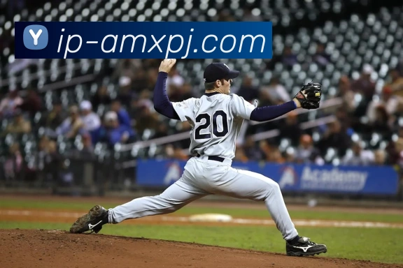 澳门新葡京娱乐品牌故事