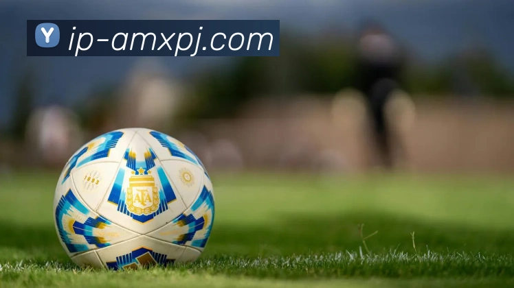 澳门新葡京娱乐服务体系